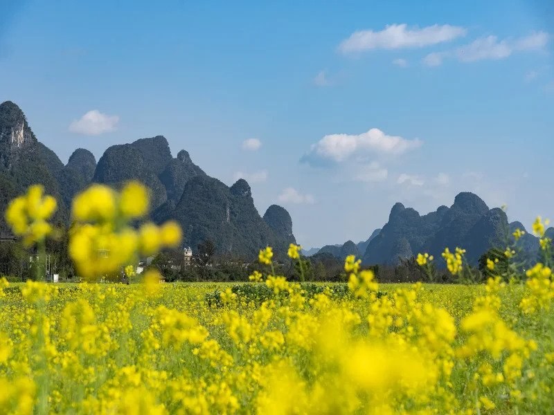 十里画廊实景图片